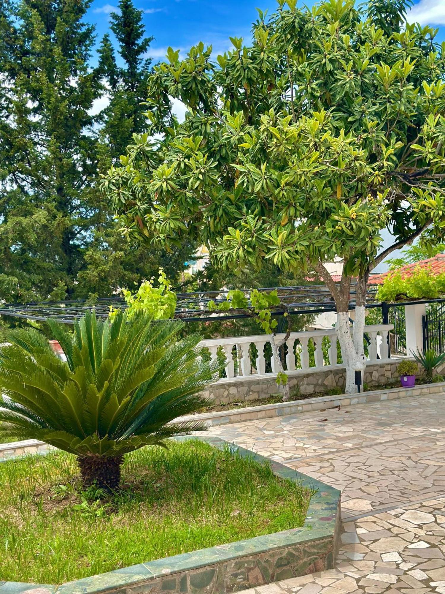 Villa Braho Gjirokastër Exteriör bild