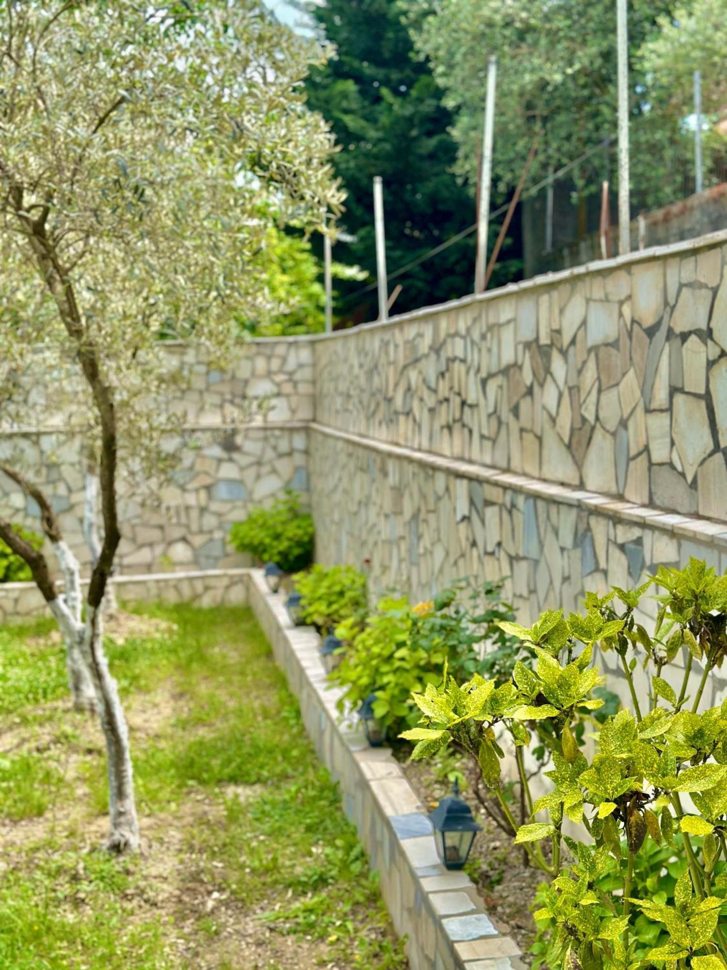 Villa Braho Gjirokastër Exteriör bild